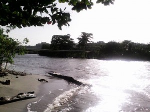 Monterrico and Sipacate