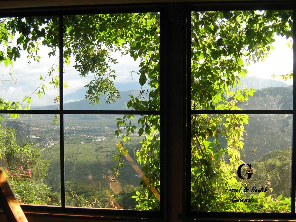 Majestic nature in farms.